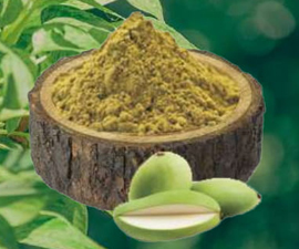 Amchur Powder