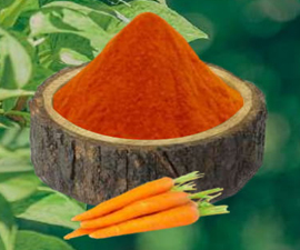 Carrot Powder