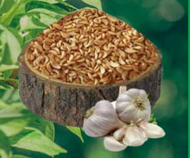 Dehydrated Garlic Flakes