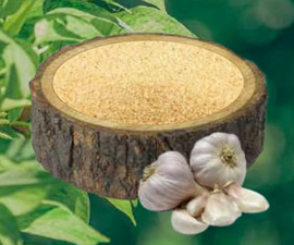 Dehydrated Garlic Granules