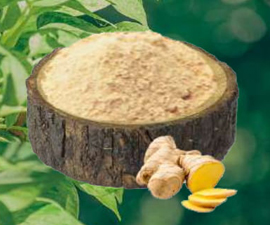 Dehydrated Ginger Powder