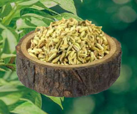 Fennel Seed