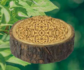 Fenugreek Seed