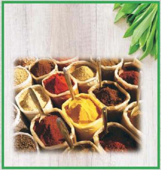 Seasoning Masala